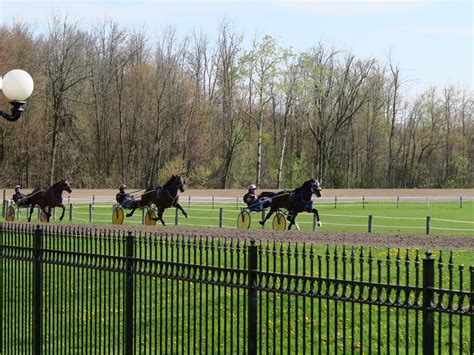 'She might have more tactical pace than the favourite  .